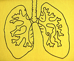 Lungs.jpg