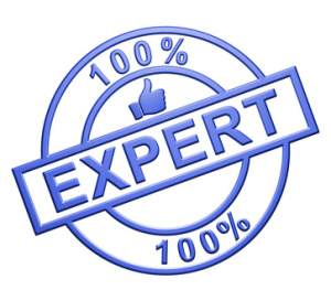 "100% Expert" Cachet (bleu)